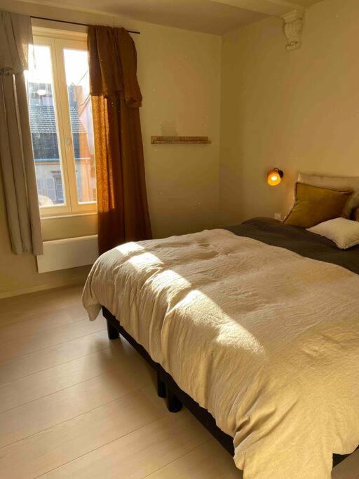 Suites Du Trefle Colmar Extérieur photo